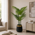 Areca Palm PL1004