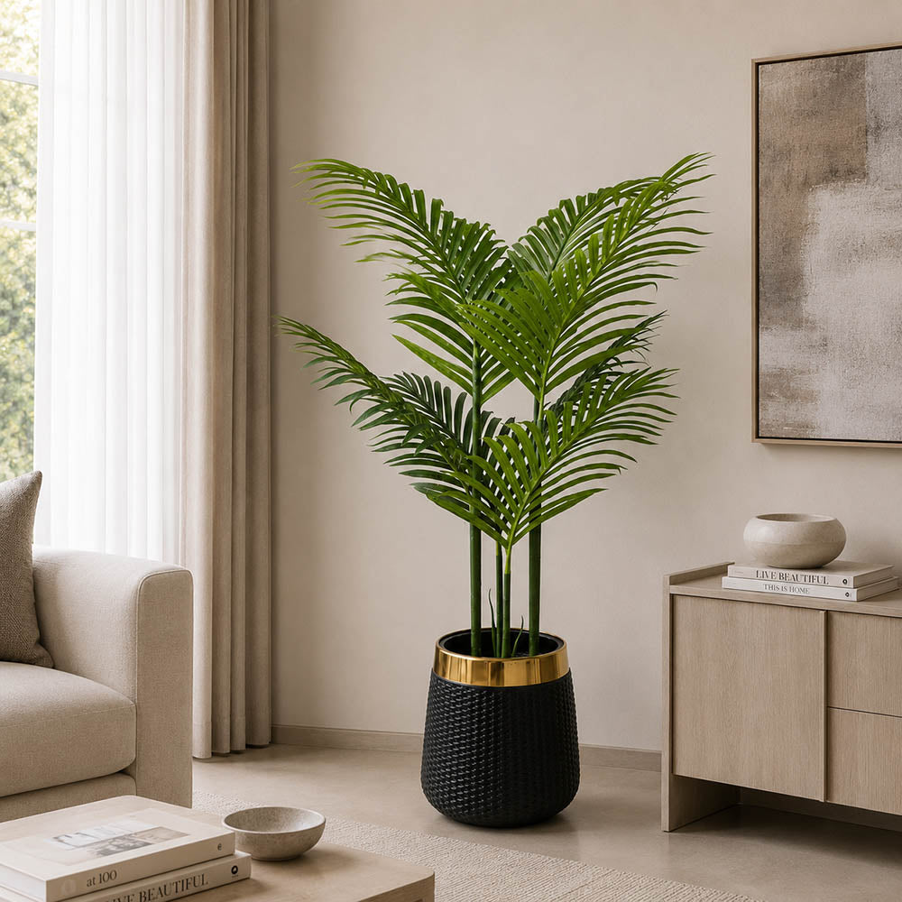 Areca Palm PL1004