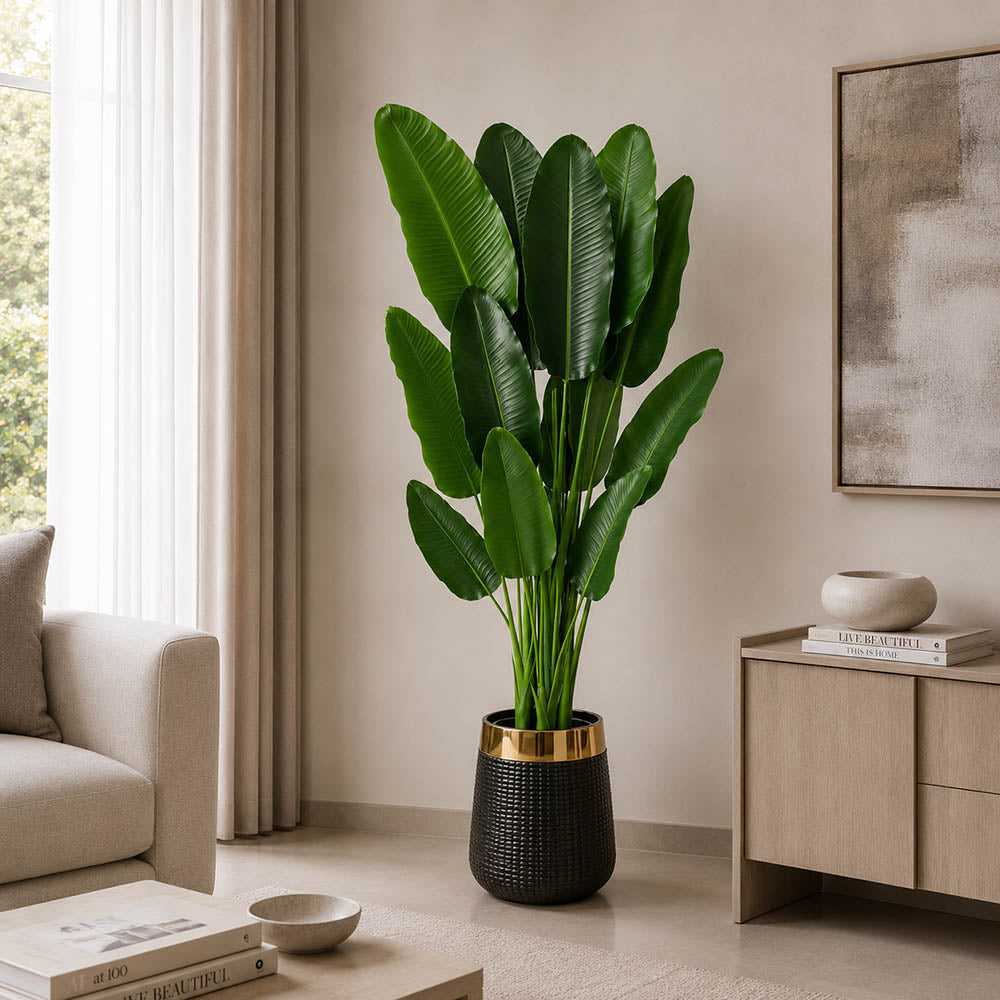 Banana Plant PL1005