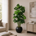 Cheecho Tree (PL1009)
