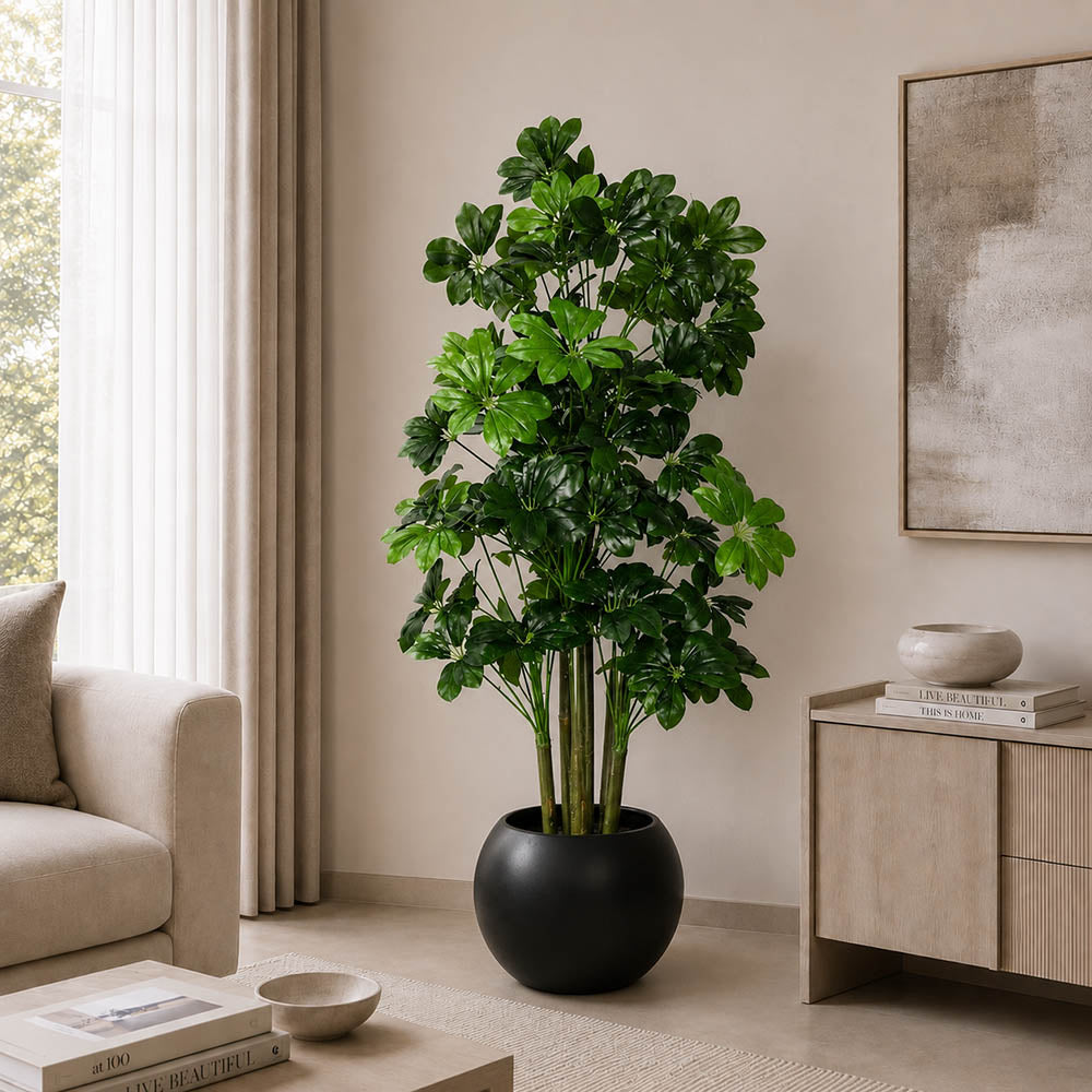 Cheecho Tree (PL1009)