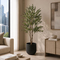 Olive Tree (PL1016)