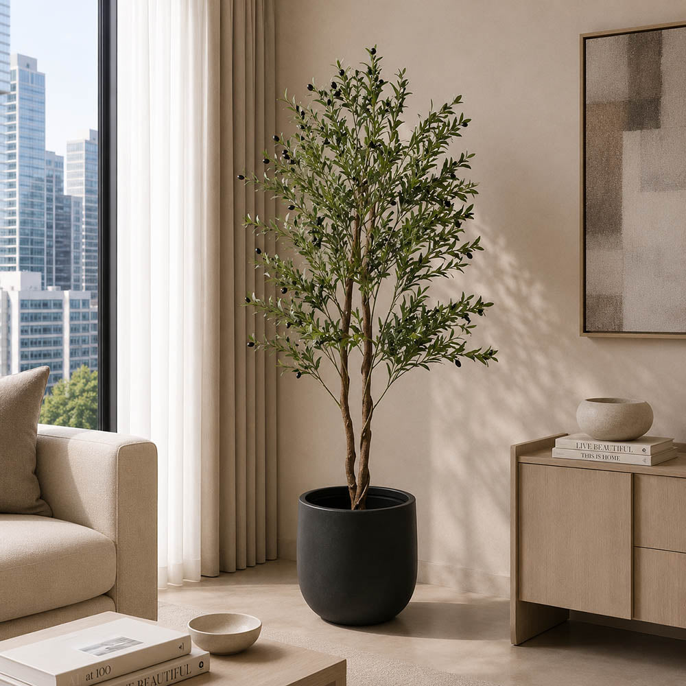 Olive Tree (PL1016)