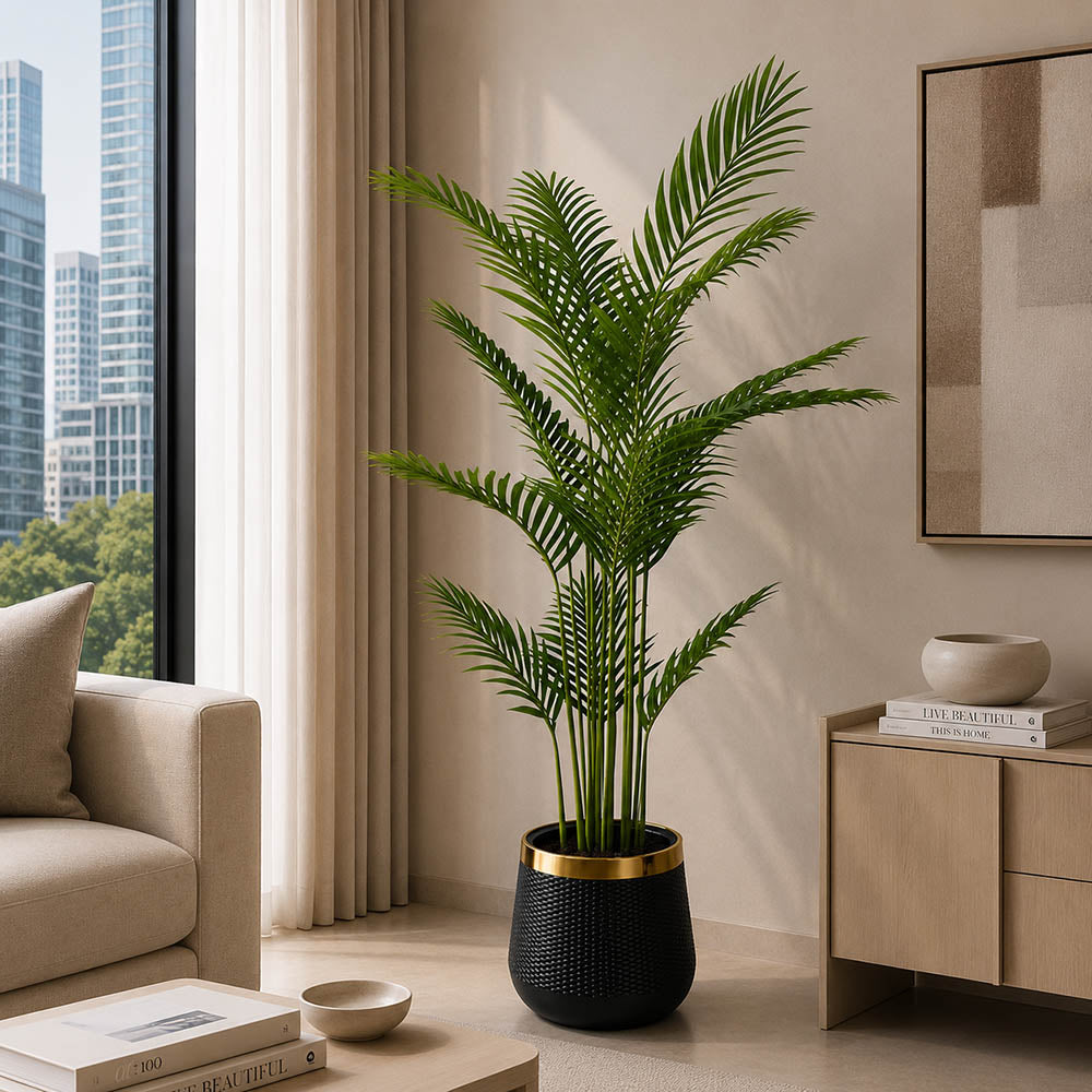 Areca Palm Plant (PL1017)