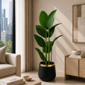 Banana Plant (PL1018)