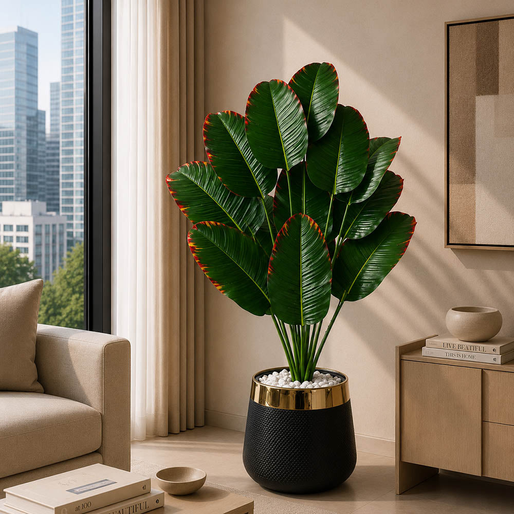 Banana Plant (PL1023)