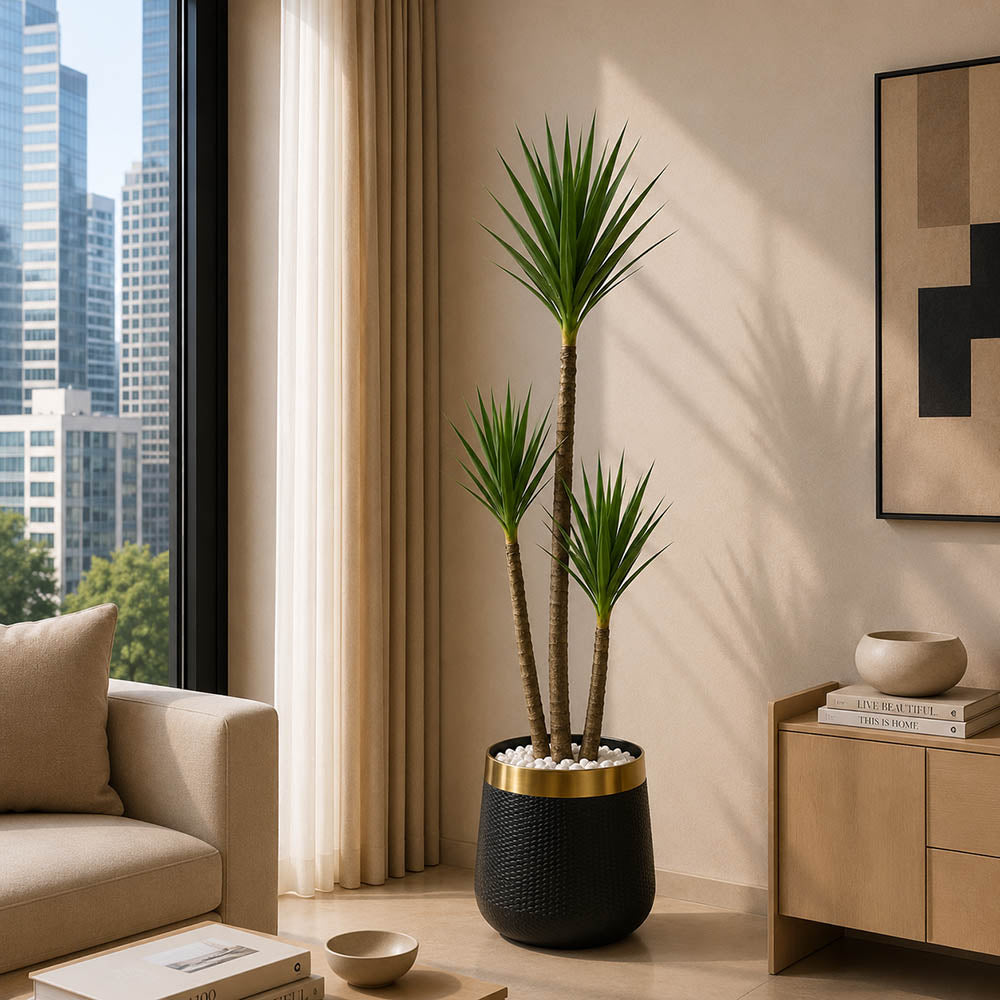 Yucca Plant (PL1028)