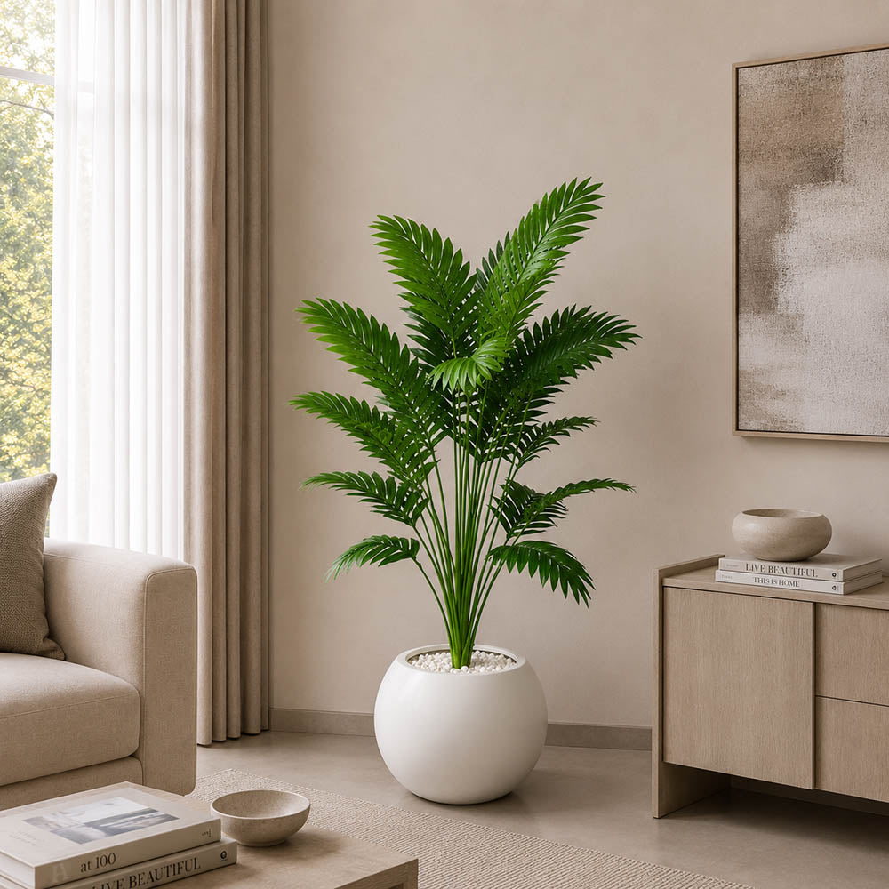 Areca Palm Plant (PL1034)