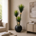 Pineapple Plant (PL1036)