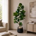 Fiddle Leaf Fig Tree (PL1039)