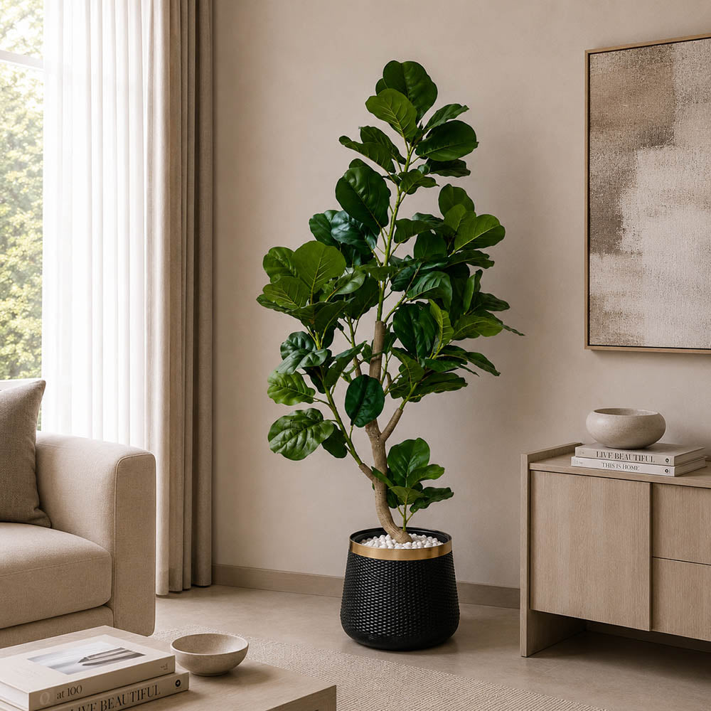 Fiddle Leaf Fig Tree (PL1039)