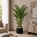 Premium Areca Palm (PL1040)