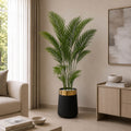 Areca Palm Plant (PL1042)