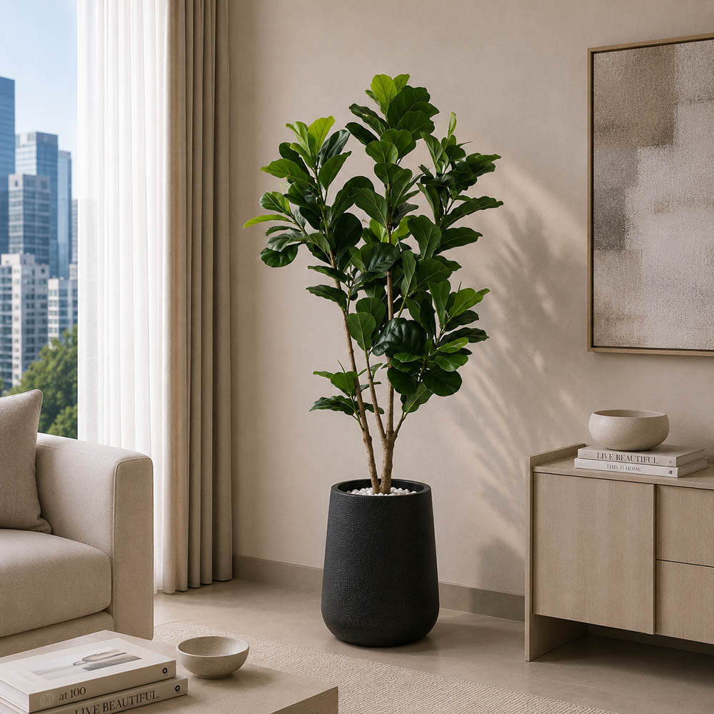 Fiddle Leaf Fig Tree (PL1047)