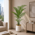 Areca Palm Tree (PL1048)