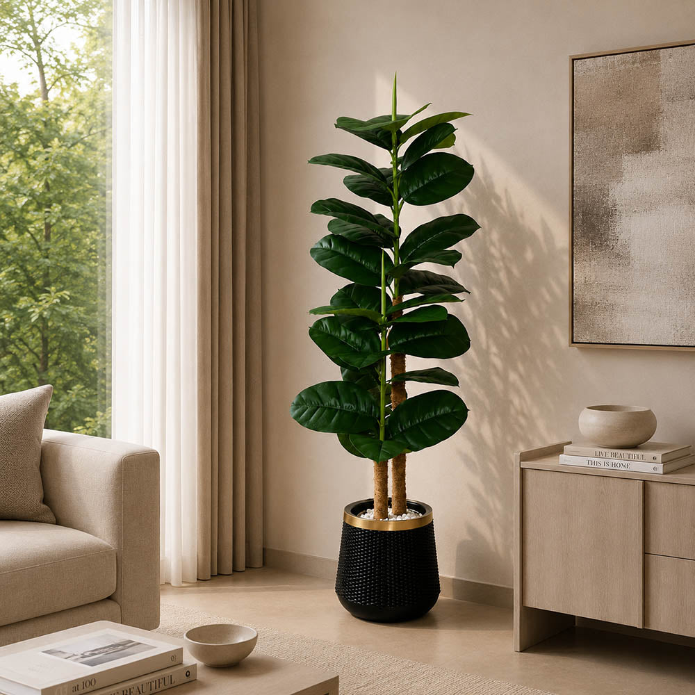 Rubber Plant Tree (PL1050)