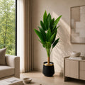 Tropical Foliage Plant (PL1051)