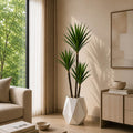 Agave Plant (PL1058)