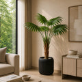 Fan Palm Plant (PL1060)