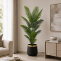 Royal Areca Palm (PL1071)