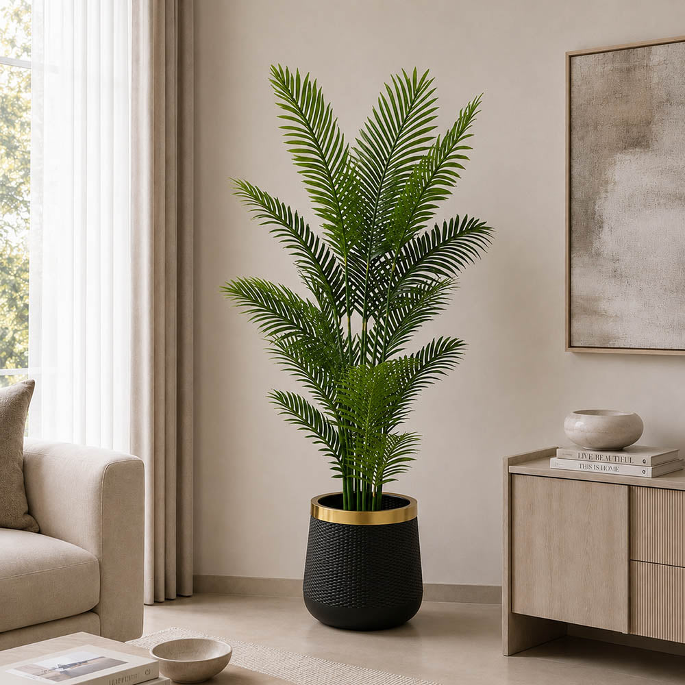 Royal Areca Palm (PL1071)