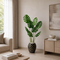 Monstera Royale Plant (PL1072)