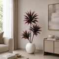 Pink Paradise Plant (PL1073)