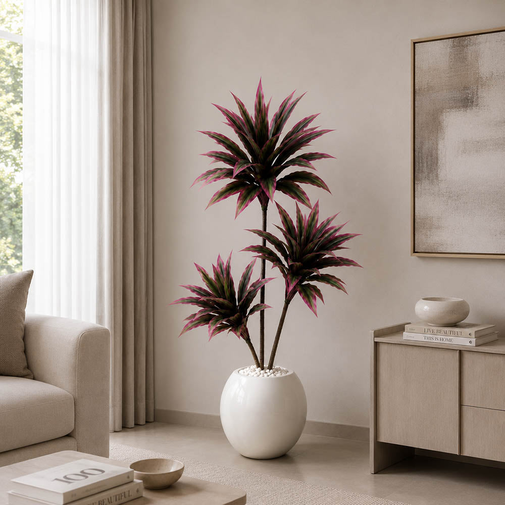 Pink Paradise Plant (PL1073)