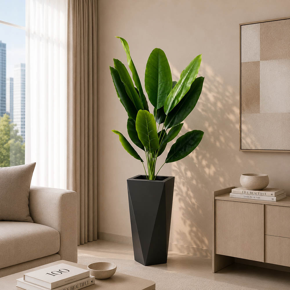 Banana Plant (PL1079)