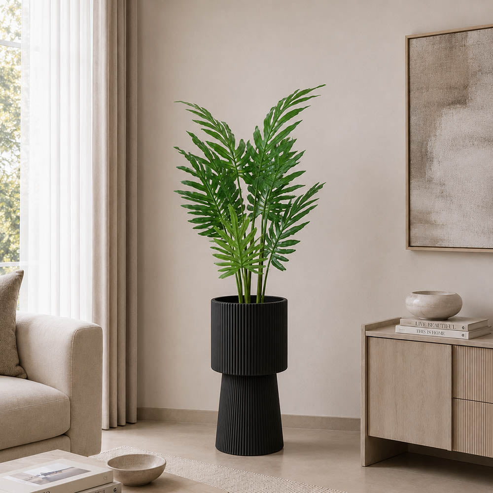 Swiss Cheese Plant (PL1080)