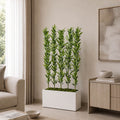 Zen Bamboo (PL1082)
