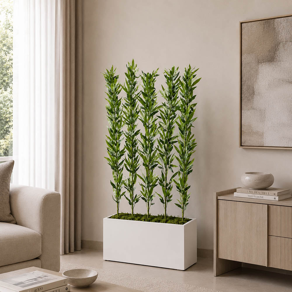 Zen Bamboo (PL1082)