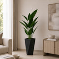 Ivory Bird of Paradise Plant (PL1083)