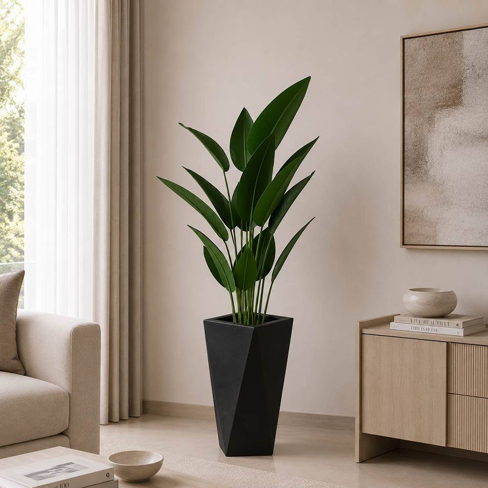 Ivory Bird of Paradise Plant (PL1083)
