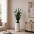 Aloe Vera Plant (PL1084)