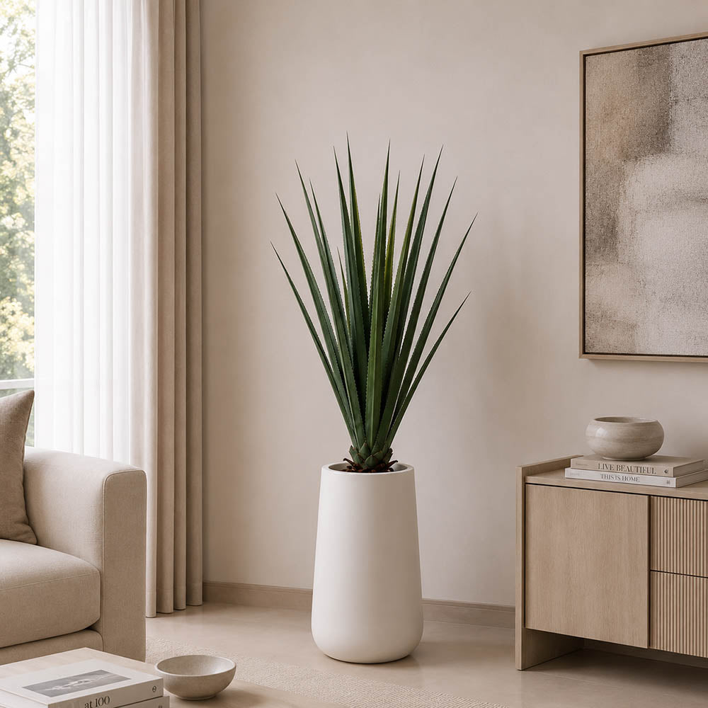 Aloe Vera Plant (PL1084)
