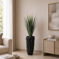Midnight Agave (PL1085)