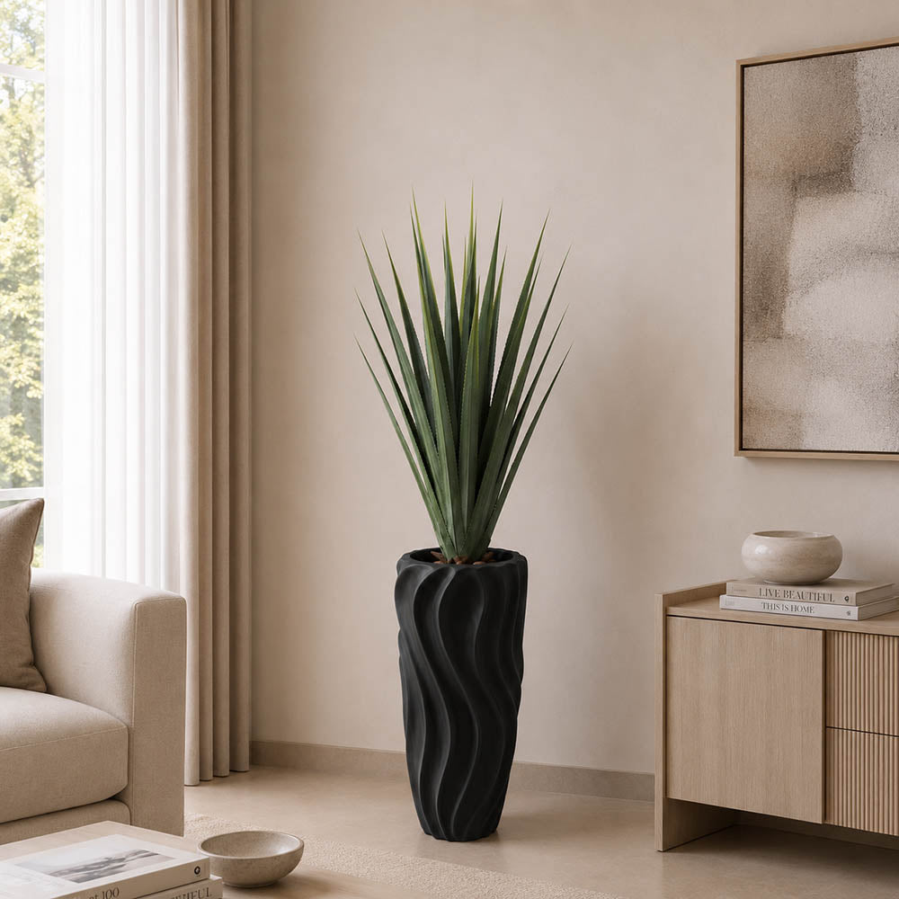 Midnight Agave (PL1085)