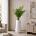 Palm Breeze Plant (PL1089)