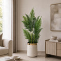 Royal Palm Plant (PL1091)