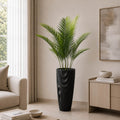 Areca Plam Plant (PL1093)
