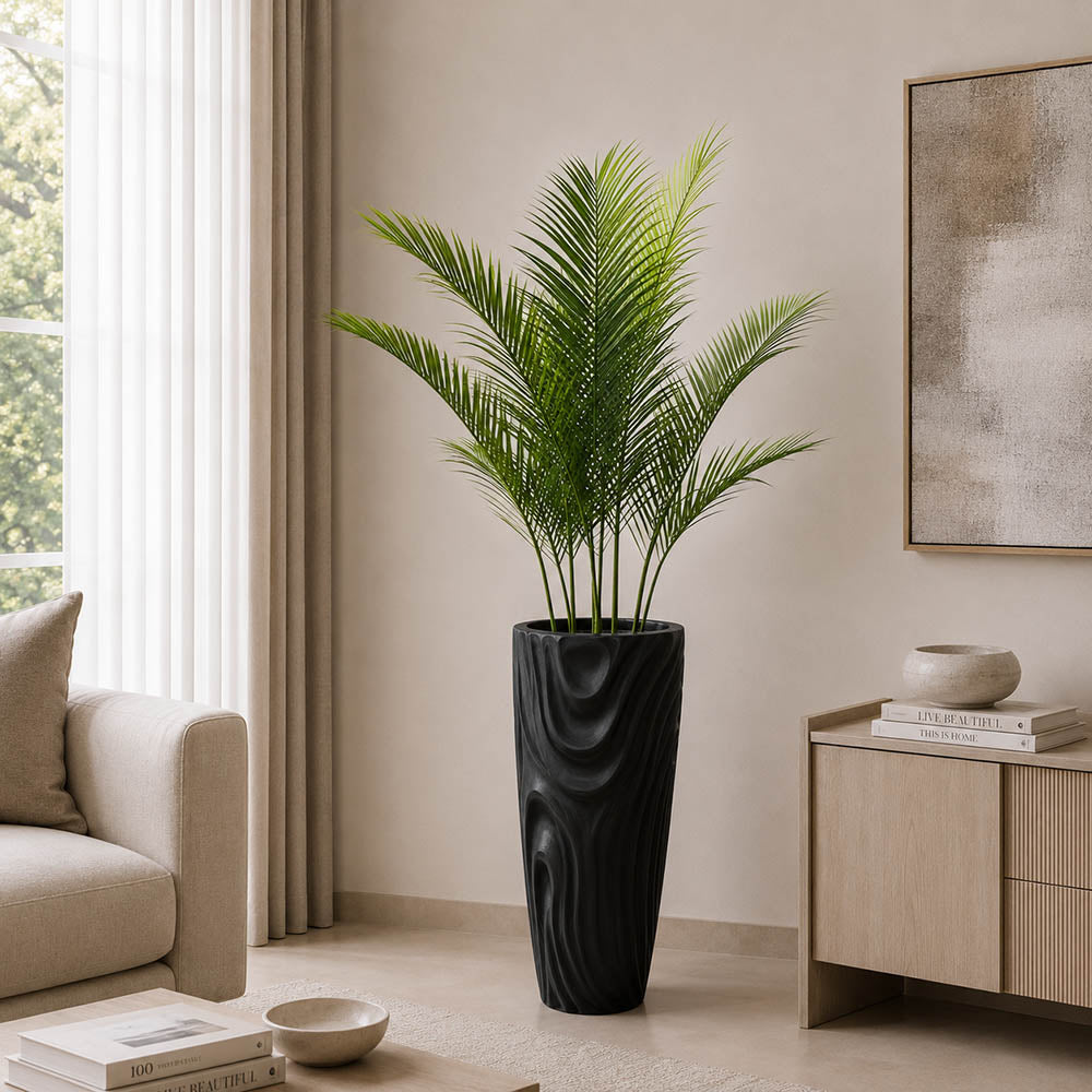 Areca Plam Plant (PL1093)