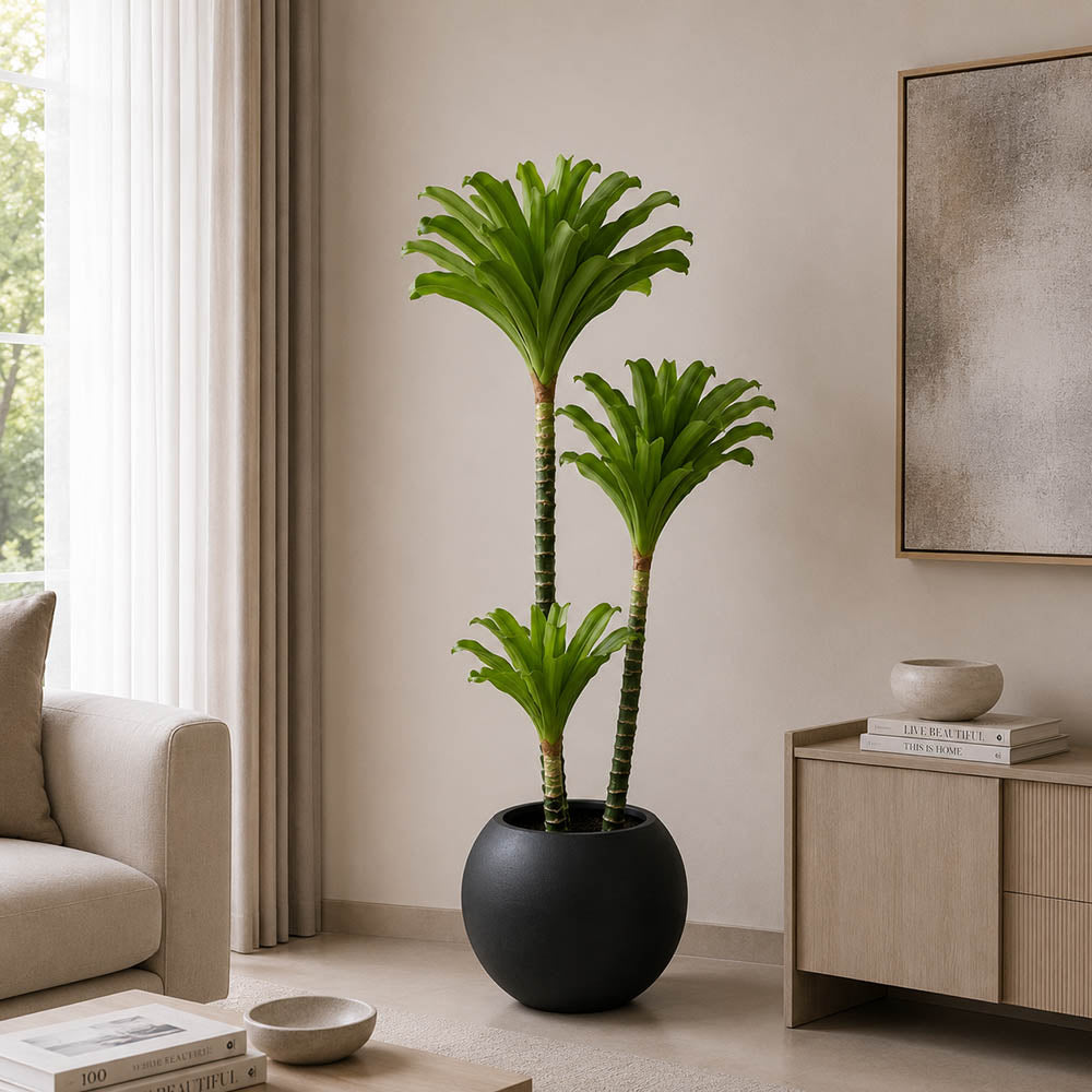 Bromeliad Tree (PL1095)