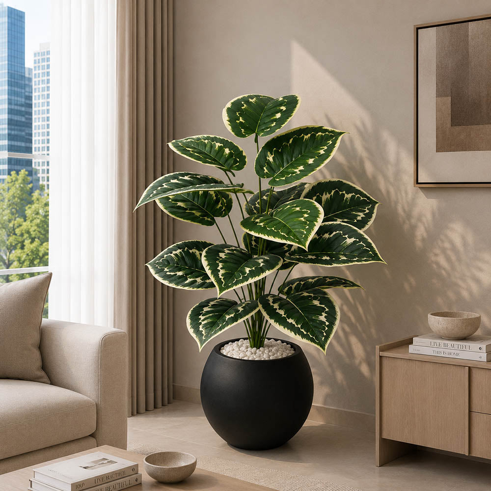 Variegated Plant (PL1104)