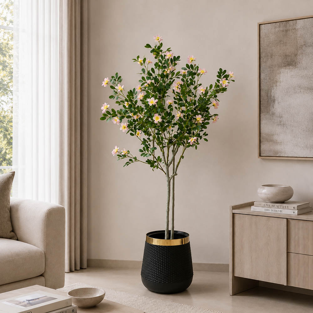 Champa Flower Plant (PL1105)