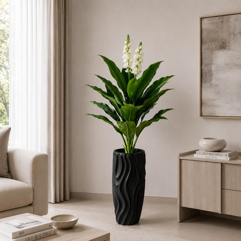 White Champa Flower Plant (PL1106)