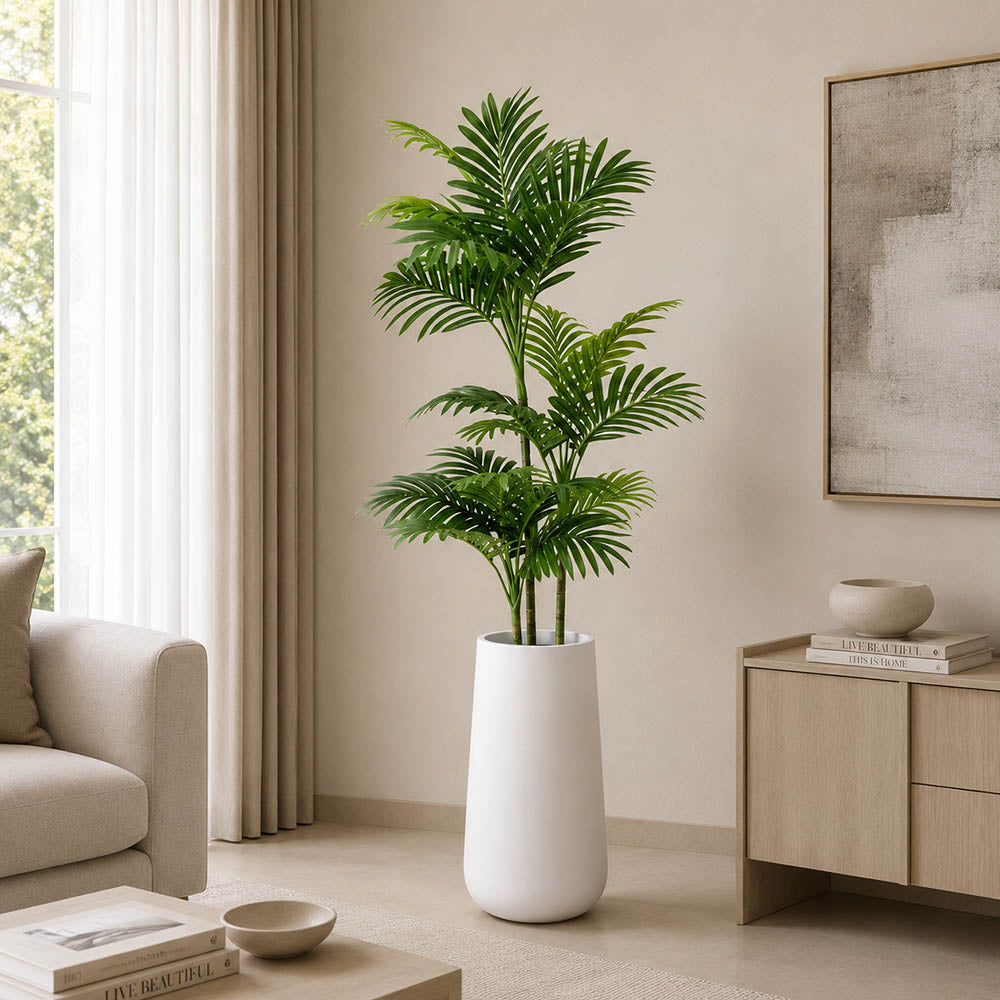 Areca Plant (PL1108)