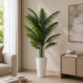 Areca Palm Plant (PL1114)