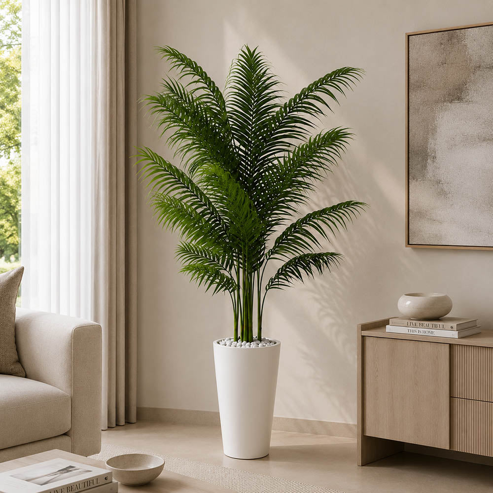 Areca Palm Plant (PL1114)