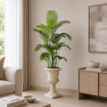 Areca Palm (PL1116)